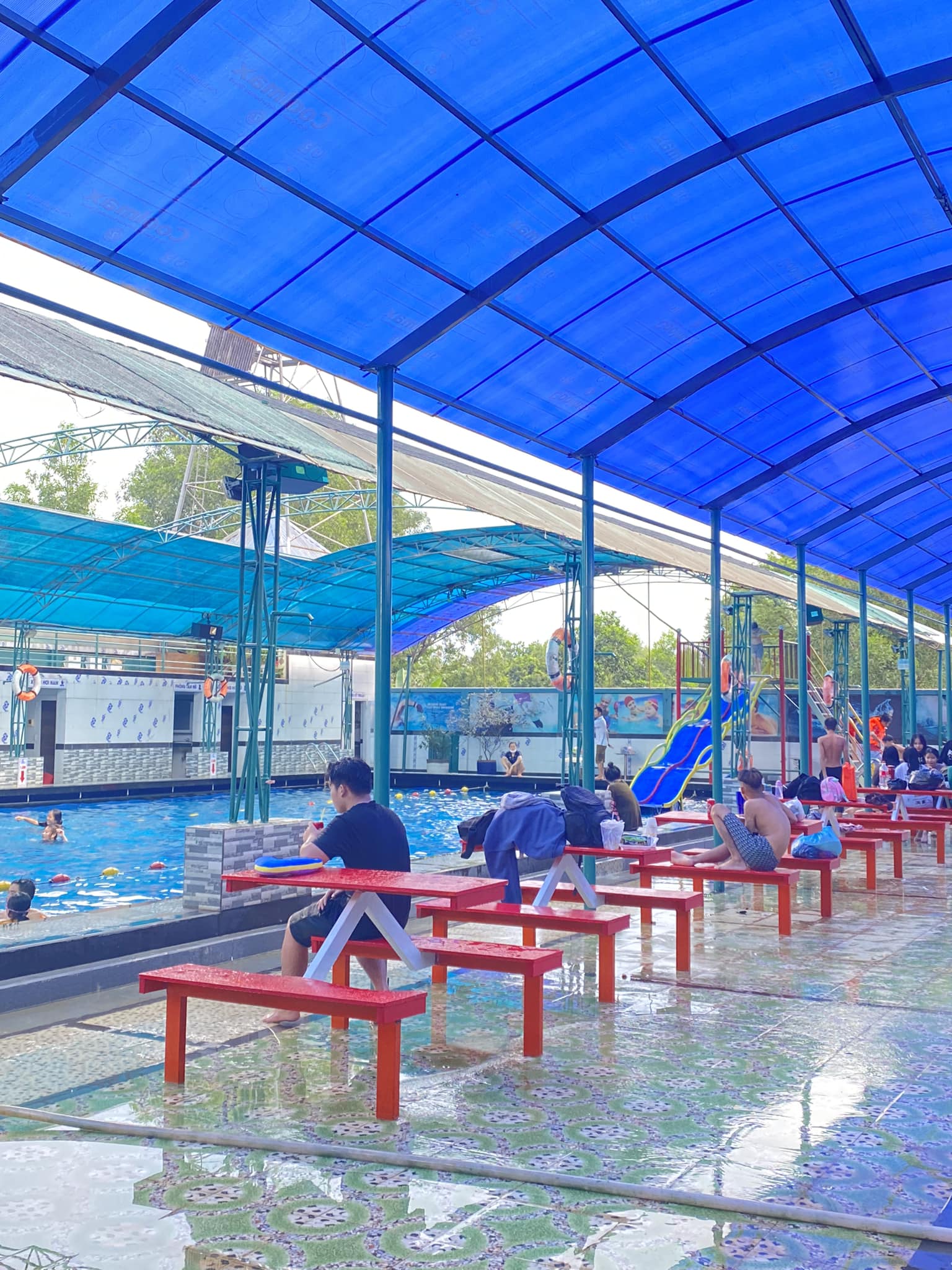 Thiết kế không gian bể bơi làm nổi bật sự thoáng đãng, tận dụng ánh sáng tự nhiên