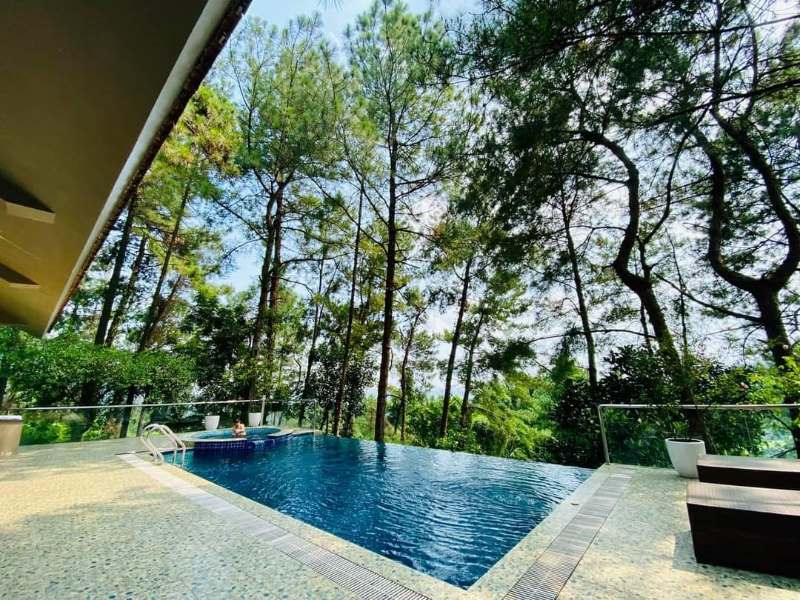 Hideaway Nest có bể bơi nhìn ra khung cảnh xanh mát của rừng cây