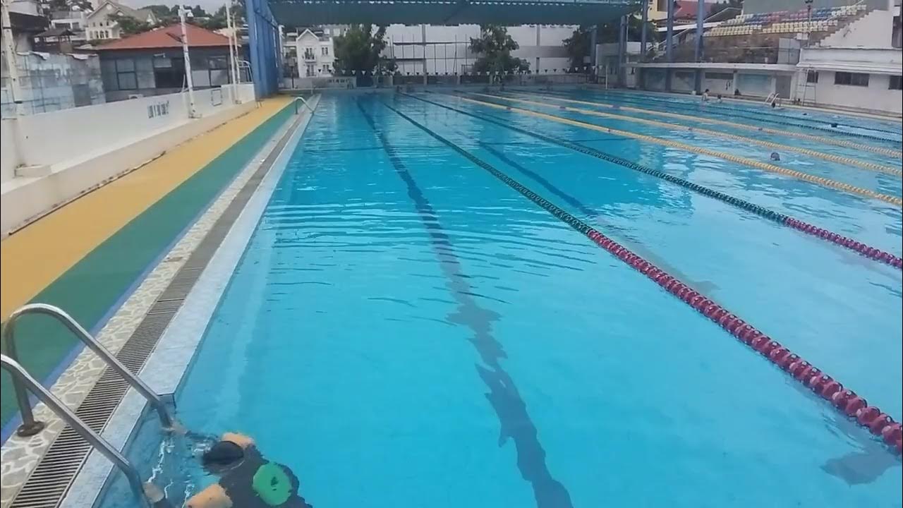 Bể bơi chuyên nghiệp đúng chuẩn Olympic